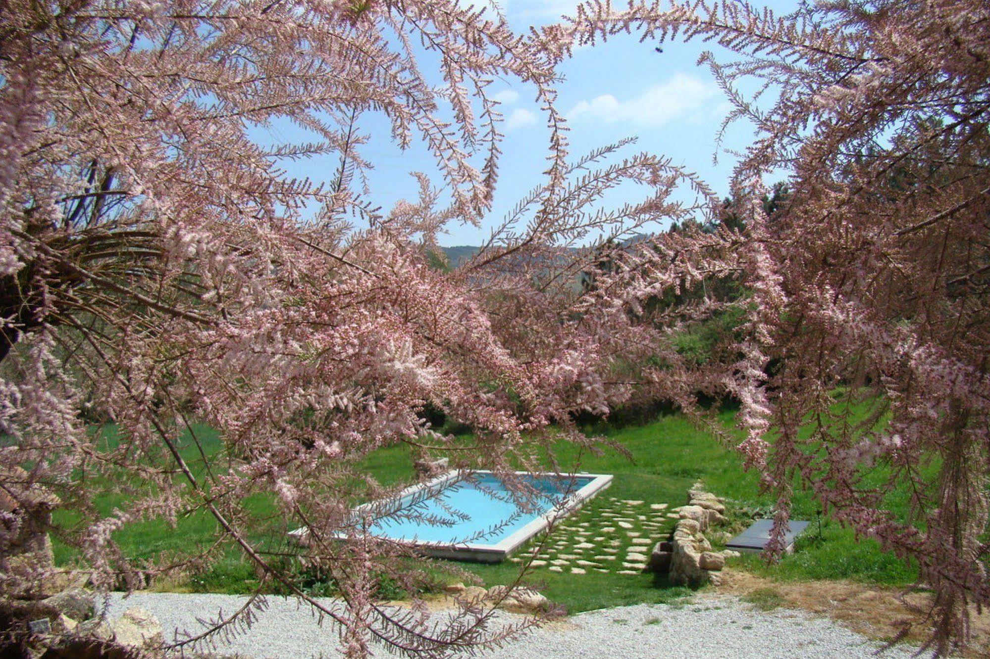 Quinta De Seves Konuk evi Covilhã Dış mekan fotoğraf